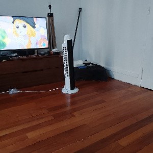 AnnoDominiNation