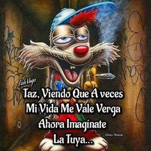 aloaloalo