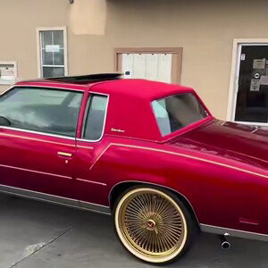 WHIP STUNNERS 