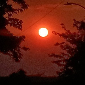 K4GHXST20 - diediedied... - Aug 8_ 2025_ 854 AM 2025-08-08 16_36