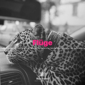 Flüge 