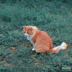 По приколу (feat HooliGUN)