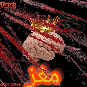 مغز