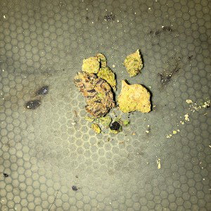 40 bars