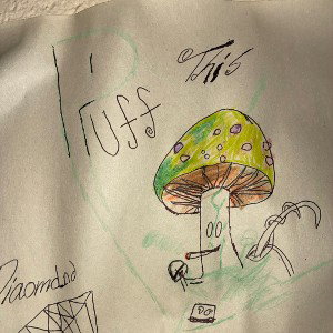 mushrooms and potions