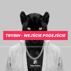 TryBin - wejście podejście 
