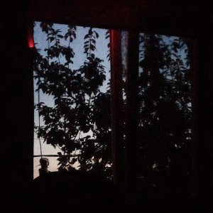 Жизнь трудна!