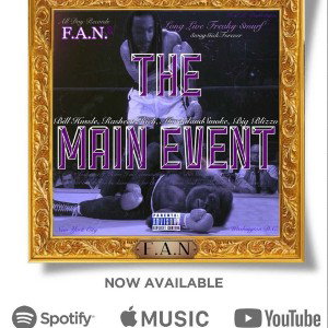 The FN Remix