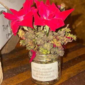 I have rosebuds and those buds! (10:58:48)