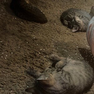 life seems long (03:44:07)