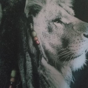 jah fun rap