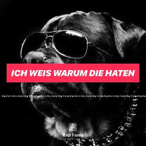 Ich Weis warum die haten 