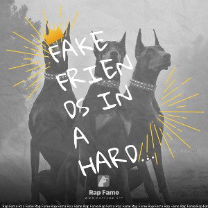 Fake friends in a hard life