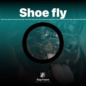 Shoe fly