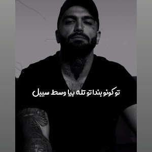 شرمنده ام راستش بابت دیس