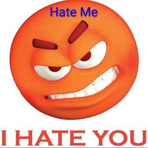 Hate Me, I Hate You