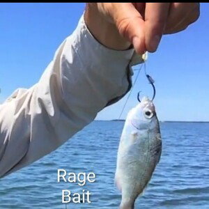 Rage Bait