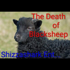 The Death Of Blacksheep