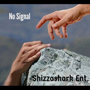 No Signal