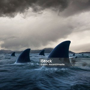 Can't Stop This Wave 