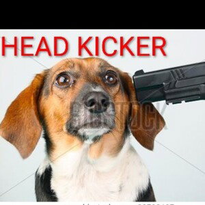 Head Kicker