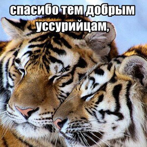 Поликлиника feat. Poliklinika №4 