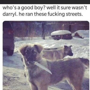 discretion is advised 