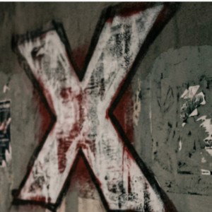 X-perience