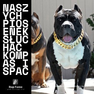 naszych piosenek słuchać kompaś i spać