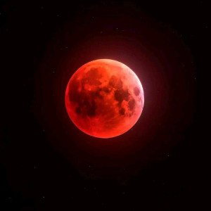 Movement on Basement 