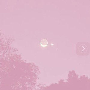 Voice 006 (Bass Boost)
