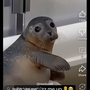 Fortnite be like