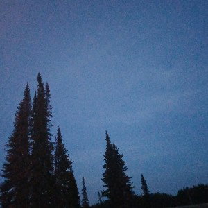 говно