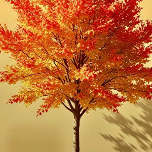 high-mighty-oak