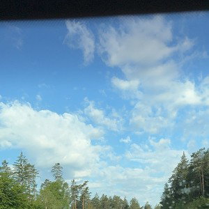 From The Rearview 