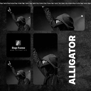 Alligator 