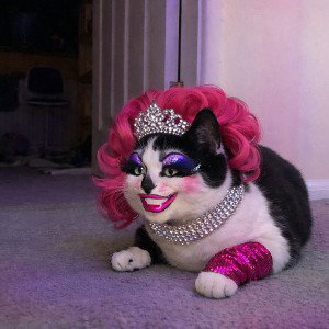 drag queen in the night 