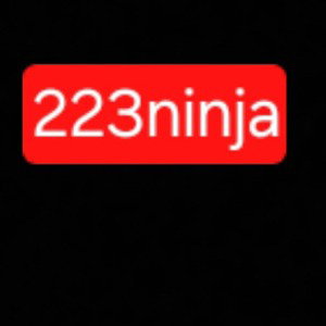223 ninja