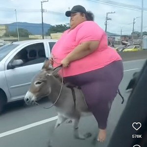 Ruckus Ruckus