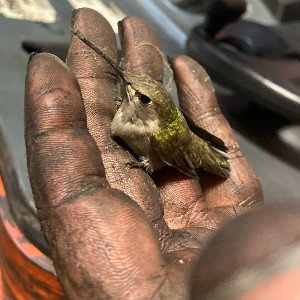 clean hands