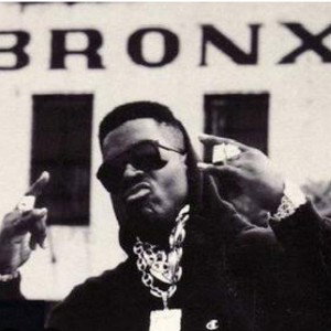 Ni--az Is Bronx (Tim Dogg sucka)