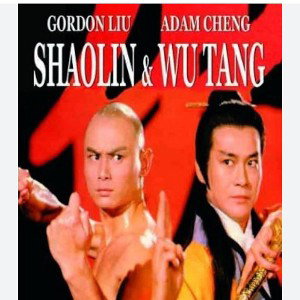 Shaolin vs wu-tang 