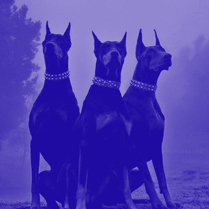 no name (Slowed + Reverb)