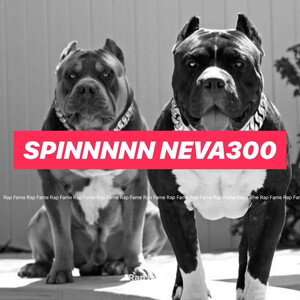 SPINNNNN NEVA300