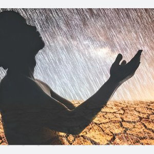 The Rain