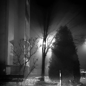 BARWY TAMTYCH DNI
