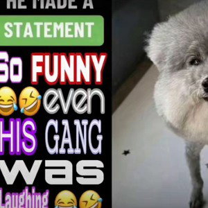 60 condidents