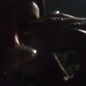 666 44YayoFlow