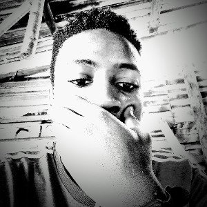 nelosn