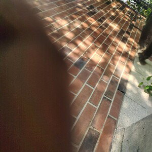 Knock